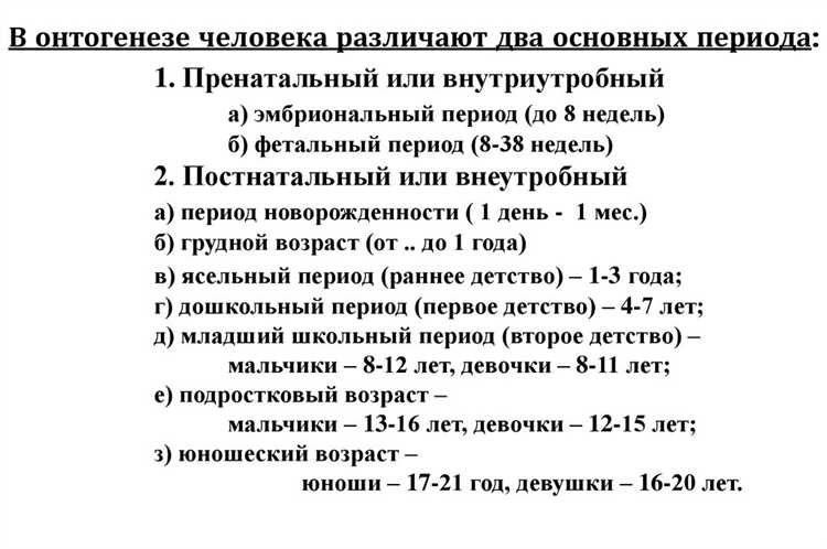 Как длинные правила повышают предсказуемость поведения
