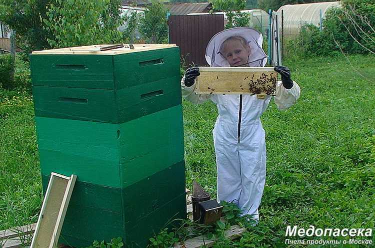 undefinedКитай-город</strong> – рынок, который имеет славу среди гурманов. Здесь можно найти натуральный мёд с минимальными добавками, без обработки и фильтрации. Это идеальное место для тех, кто ценит максимальную натуральность и прозрачность продукции. Пчеловоды, которые продают свой мёд на этом рынке, часто предлагают уникальные сорта, собранные с редких растений.»></p>
<p>Все эти рынки обеспечивают возможность не только приобрести мёд с первых рук, но и узнать много нового о его свойствах и методах хранения от самих пчеловодов. Прямое общение с производителями – один из важнейших аспектов, который помогает сделать выбор в пользу качественного и проверенного мёда.</p>
<h2>Где в Москве купить мёд напрямую у пчеловодов</h2>
<p><img decoding=