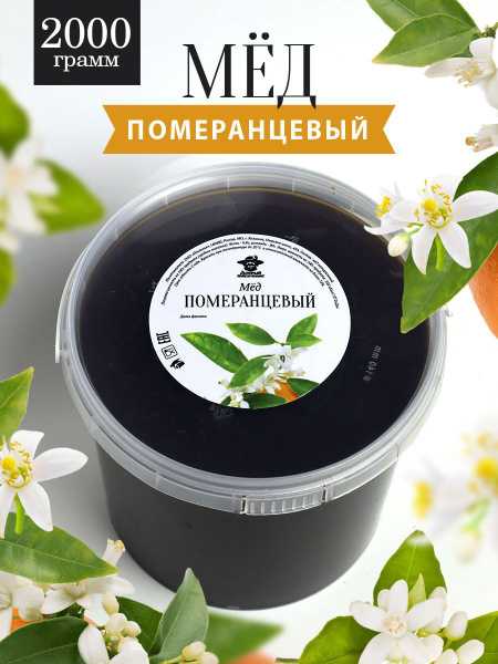 Как выбрать мёд в специализированных магазинах: советы экспертов