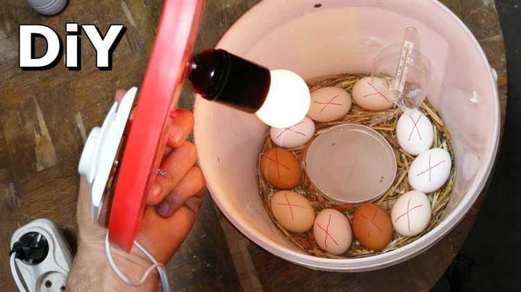 Монтаж термометра и гигрометра для наблюдения