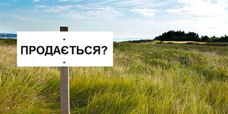 Сроки рассмотрения заявления и заключения договора купли-продажи