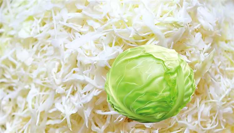 Как добиться идеальной текстуры нарезанной капусты
