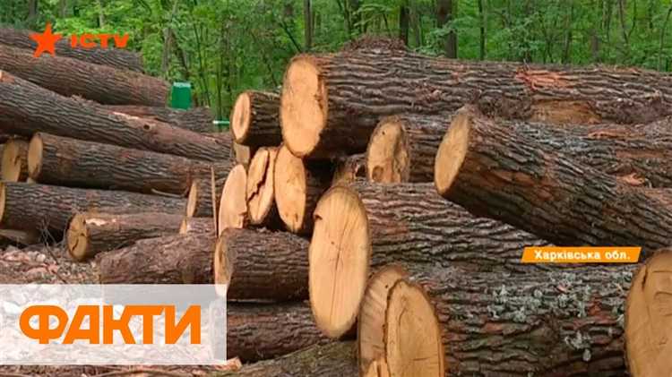 Куда обращаться при подозрении на незаконную вырубку