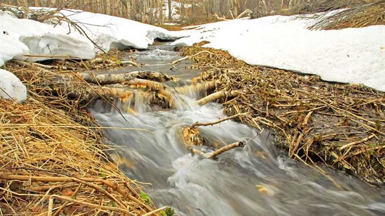 Почему ямы с талой водой весной вызывали особое внимание у селян