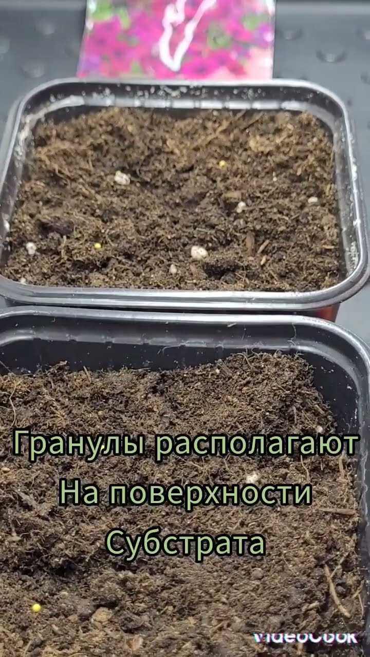 Как обрезать основной стебель без повреждения растения