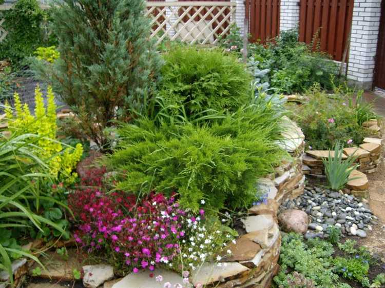 Идеи вертикального озеленения на самодельных опорах