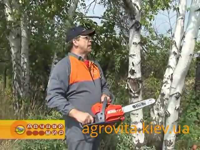 Как выбрать подходящее место для распилки дров