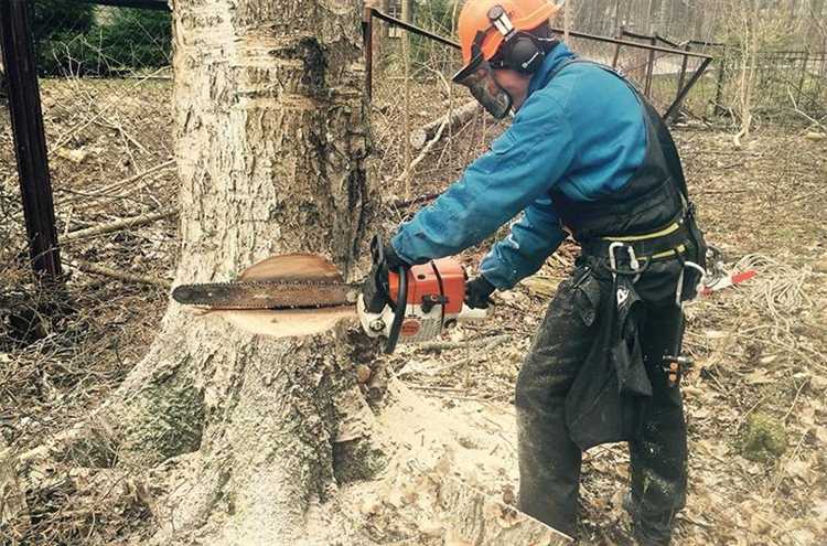 Как правильно держать бензопилу при продольной и поперечной распиловке
