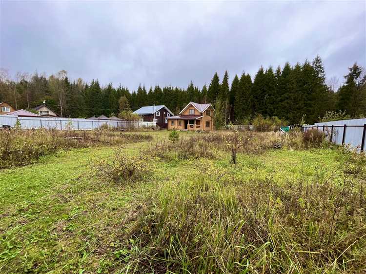 Подготовка межевого и кадастрового плана участка