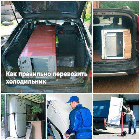 Особенности перевозки зимой или в жаркую погоду