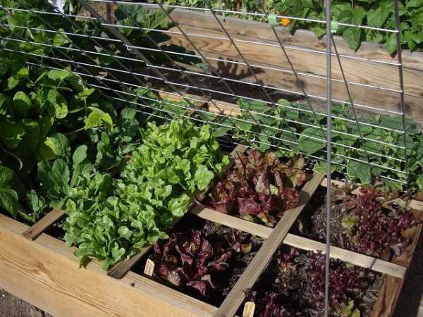 Как избежать слипания и уплотнения почвы при формировании грядок