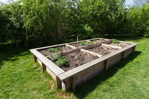 Какие растения лучше сажать на поднятых грядках в условиях сырости