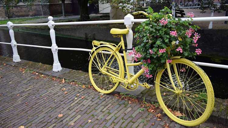 Выбор краски и инструментов для наружных условий