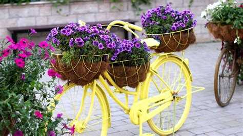 Как покрасить велосипед для ландшафтного дизайна Как покрасить велосипед для ландшафтного дизайна