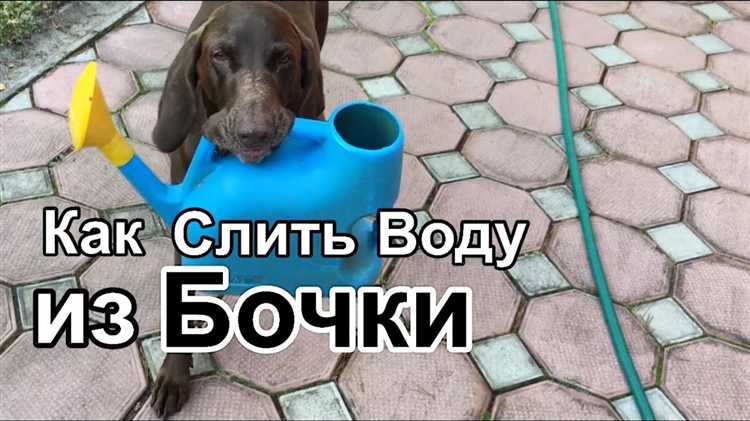 Подбор шланга: длина, диаметр, материал