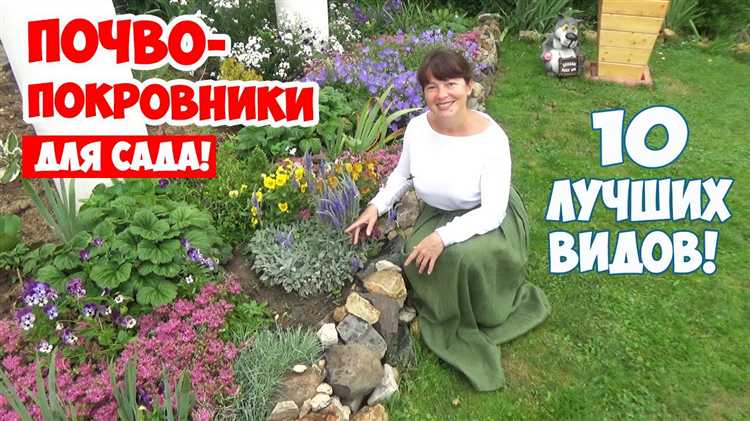 Выбор подходящей бочки для посадки цветов