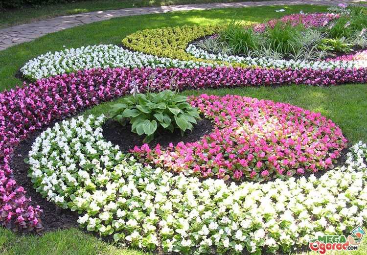 Как посадить цветы в бочку