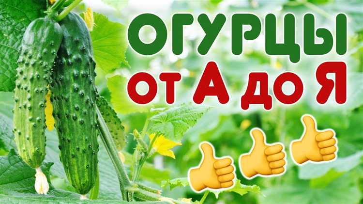 Севооборот и совместные посадки для снижения утомления почвы