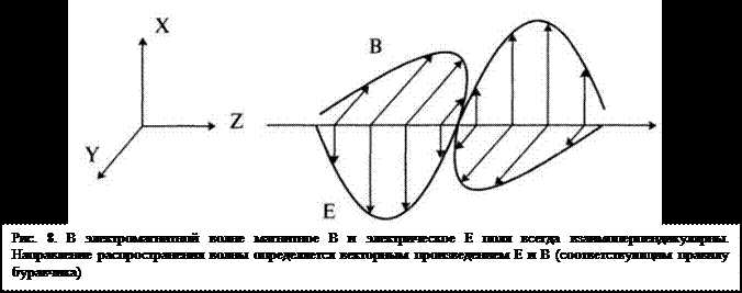 Как распространяется электромагнитная волна в вакууме Как распространяется электромагнитная волна в вакууме