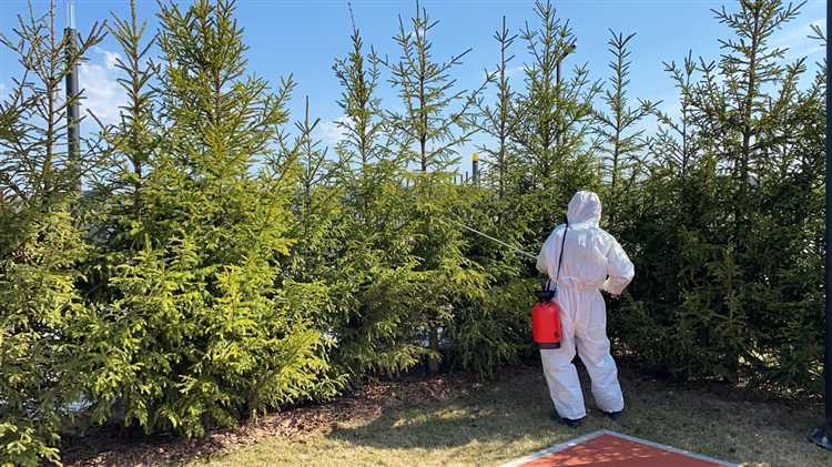 Где искать профессиональную помощь, если короед уже атаковал дерево