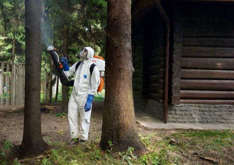 Как выявить первые признаки повреждения деревьев короедом