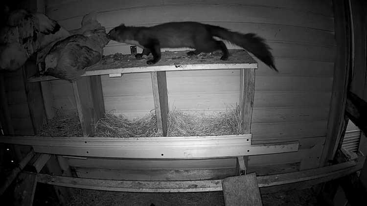 Защита от погодных условий