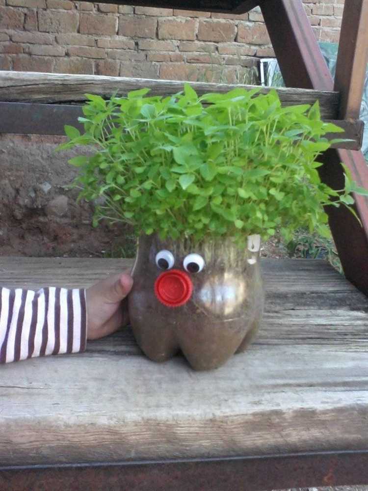 Как сделать из 5 литровой бутылки горшок для цветов Как сделать из 5 литровой бутылки горшок для цветов