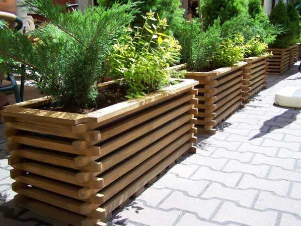 Выбор подходящей древесины для изготовления кашпо