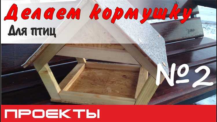 Выбор материалов для кормушки