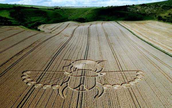 Выбор типа профиля для гибки в круг