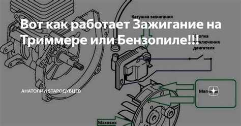 Для повышения эффективности работы триммера ключевым параметром является частота вращения шпинделя. Оптимальные обороты зависят от типа двигателя: у бензиновых моделей это обычно 7000–9000 об/мин, у электрических – 8000–12000 об/мин. Превышение рекомендованных значений чревато перегревом и ускоренным износом.