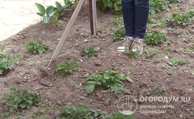 Как согнуть плоскорез в тисках без нагрева