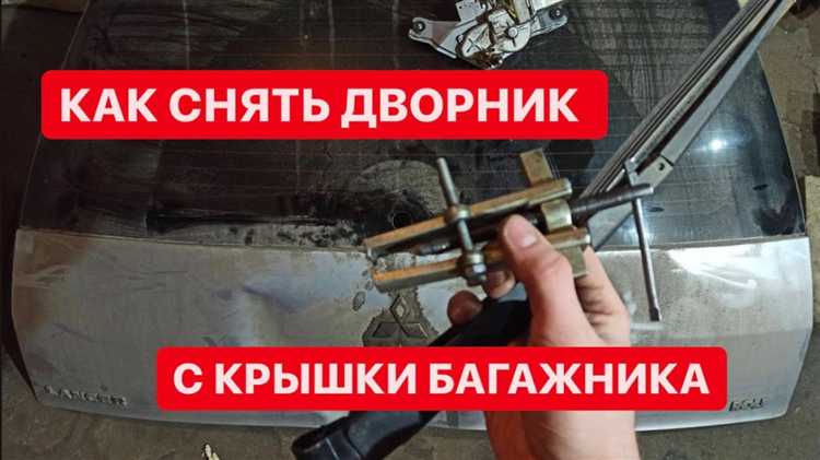 Как избежать повреждений при снятии поводка вручную