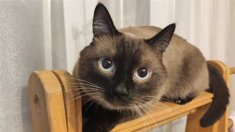 Как соединить три плинтуса в одном углу