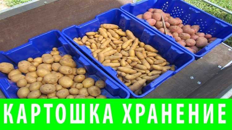 Использование ящиков и контейнеров для картофеля зимой