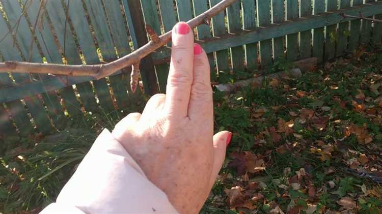 Что делать при изменении погодных условий во время сжигания