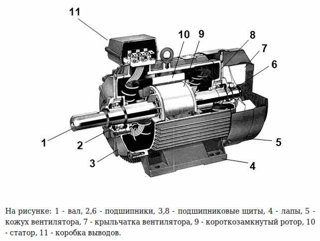 Как укладывается обмотка асинхронного двигателя