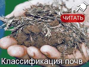 Как узнать какая почва в огороде кислая или щелочная