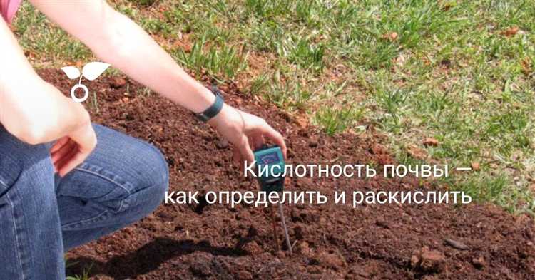 Как правильно взять пробу почвы для анализа кислотности