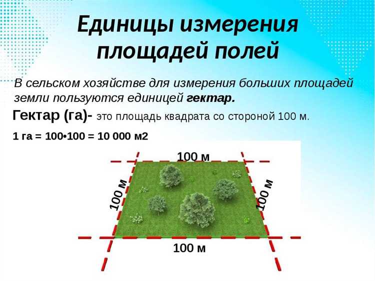 Как узнать сколько стоит сотка земли