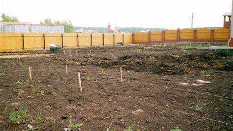 Подготовка участка для выравнивания песка