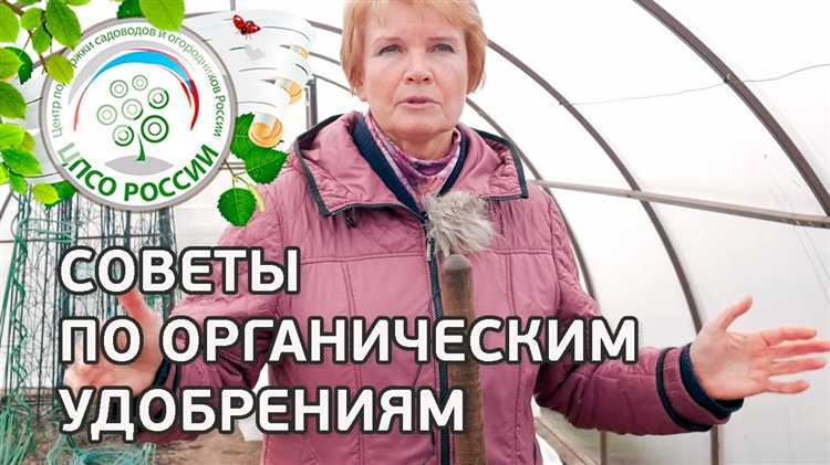 Влияние вида сожжённого материала на свойства золы