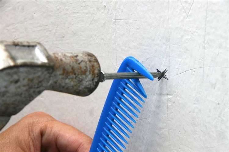 Выбор подходящего типа гвоздя для конкретной древесины