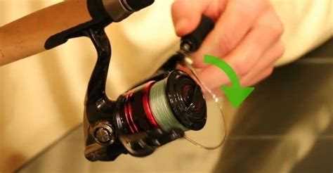 Как часто нужно менять леску в счётчике и почему это важно