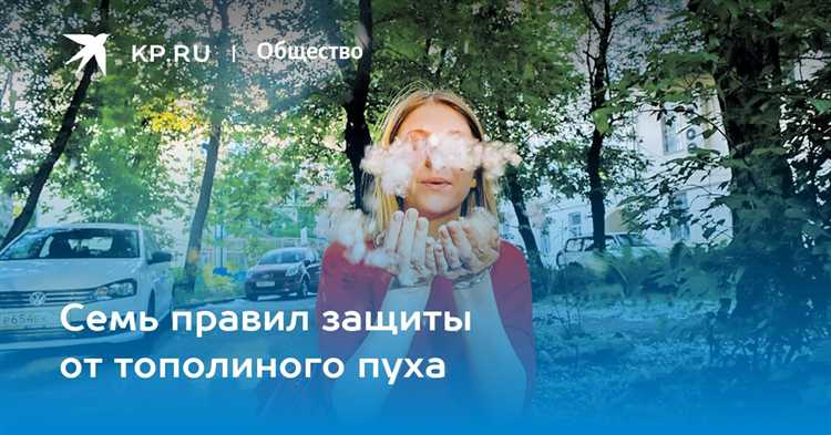 Советы по установке кондиционера вдали от источников пуха