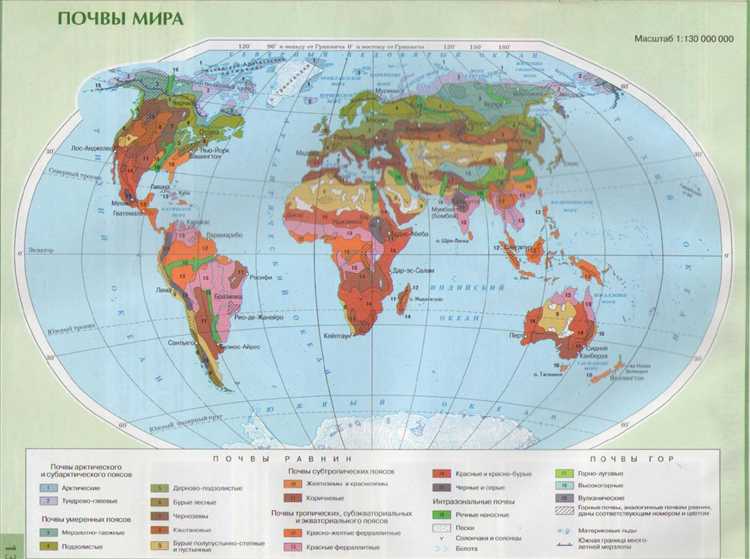 Сравнение плодородия аллювиальных и вулканических почв
