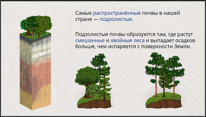Как деятельность человека ухудшает свойства лучших почв