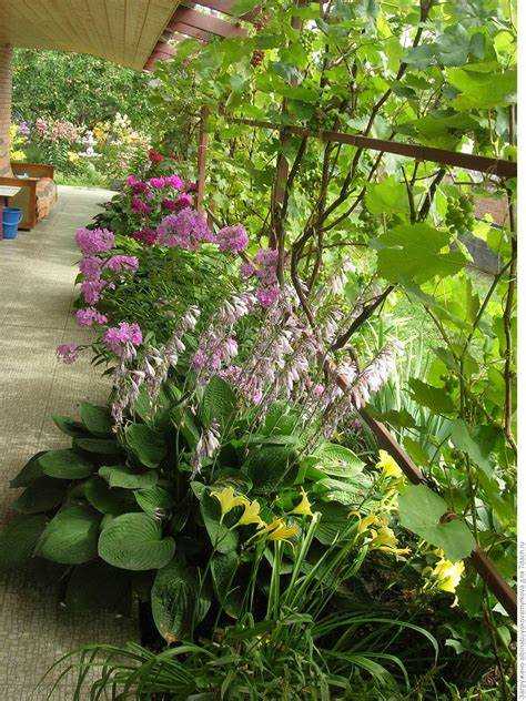 Кустарники, цветущие в августе и не теряющие декоративность