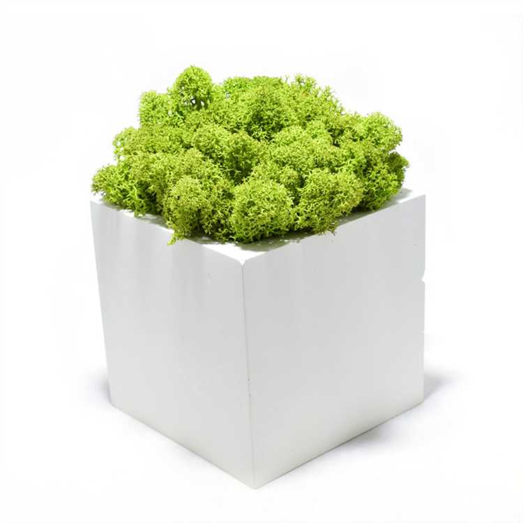 Пропорции компонентов для декоративного бетона своими руками