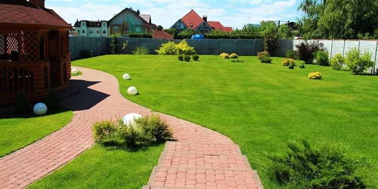 Уход за газоном без регулярной стрижки